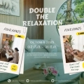 DOUBLE THE RELAXATION